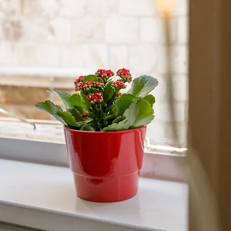 Nije Presa 2 * Ragusa